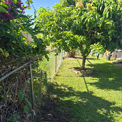 Lawn Care Work 3